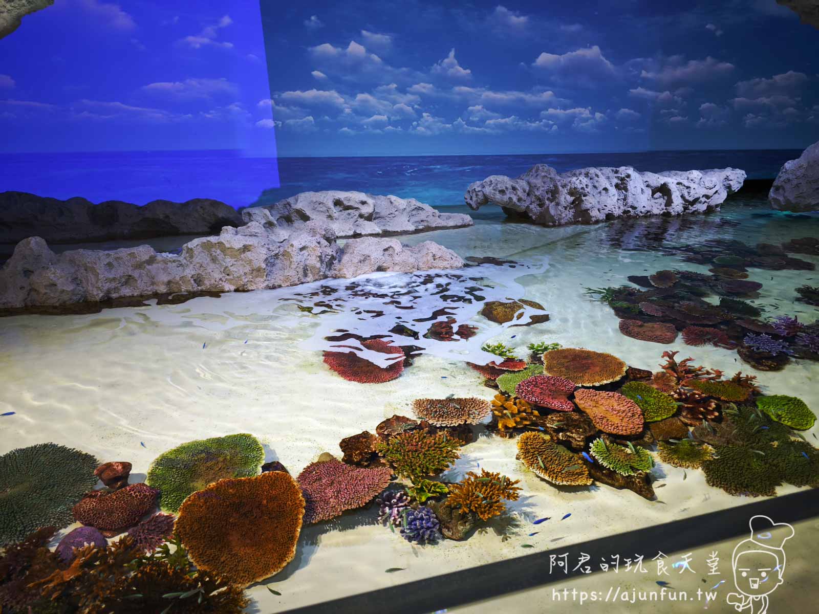 【沖繩水族館】DMM Kariyushi水族館好玩嗎?門票、交通、必看重點 - 第24張圖