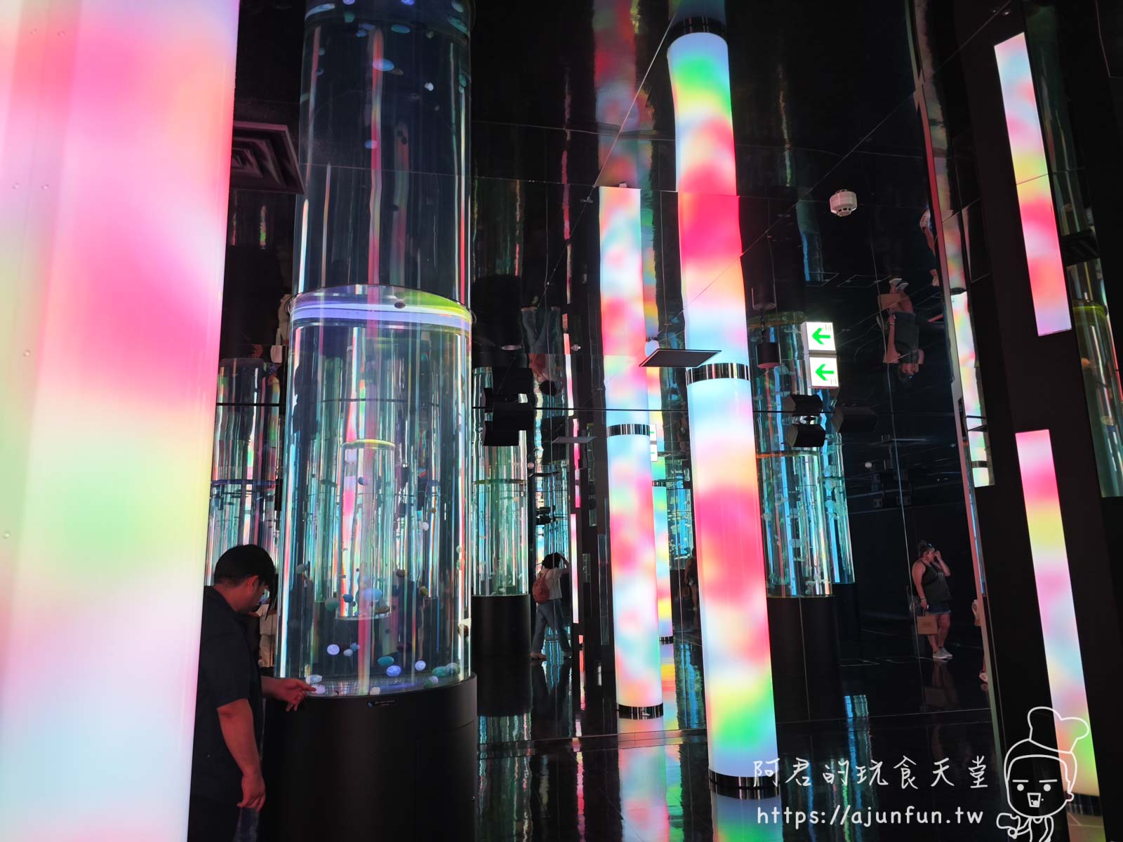【沖繩水族館】DMM Kariyushi水族館好玩嗎?門票、交通、必看重點 - 第42張圖