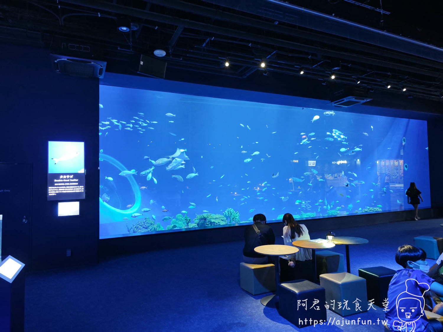 【沖繩水族館】DMM Kariyushi水族館好玩嗎?門票、交通、必看重點 - 第63張圖