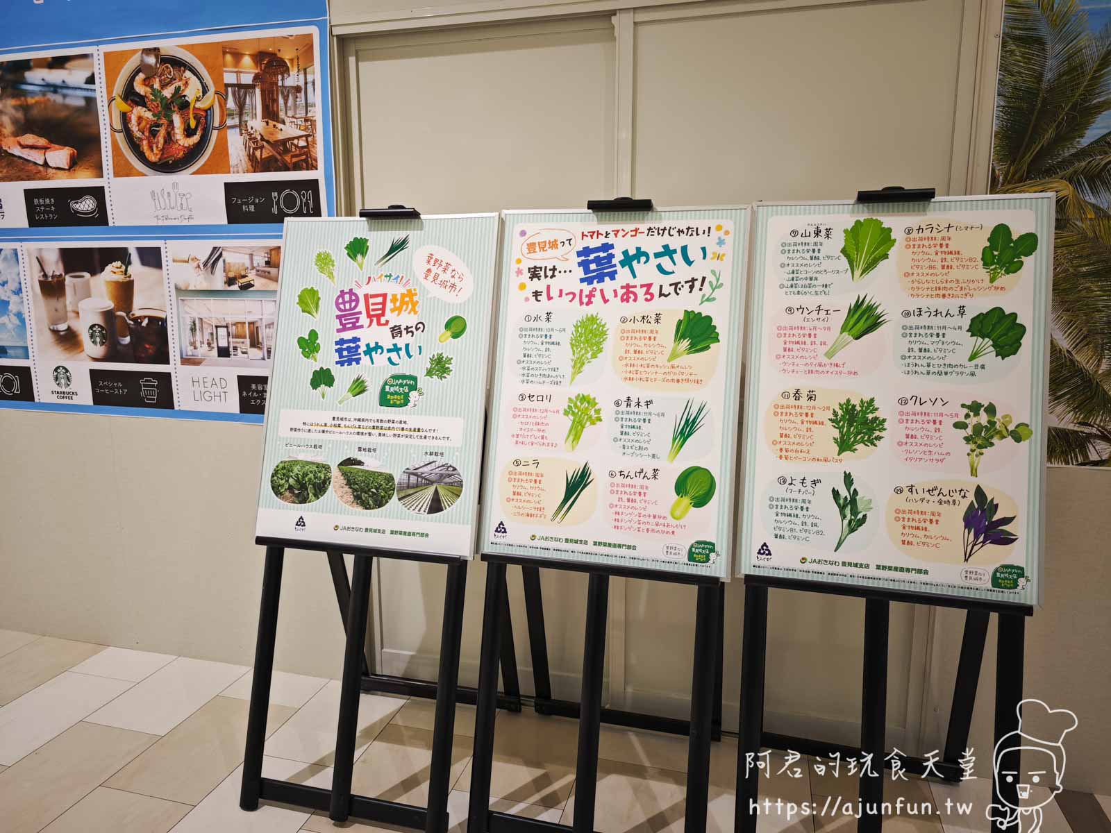 DMM 水族館玩夠了?那就來iias 沖繩豐崎 購物、吃美食,再去看絕美夕陽! - 第28張圖