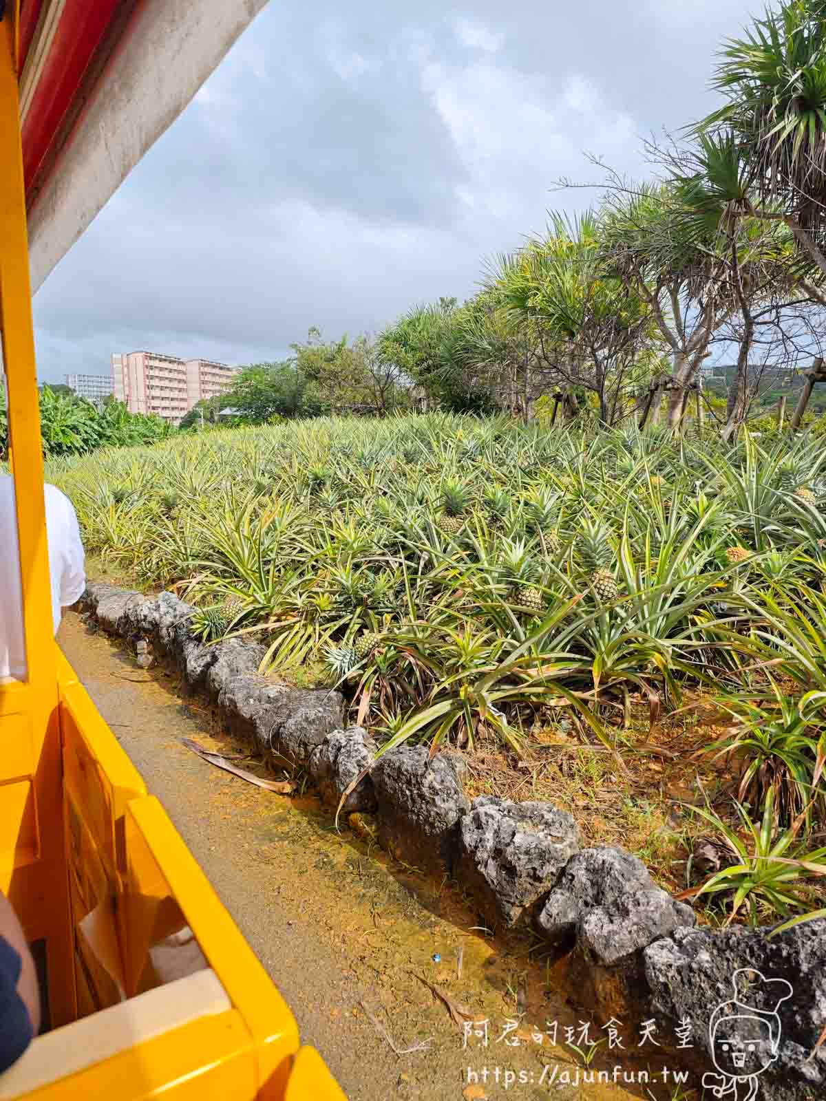 【沖繩親子景點推薦】名護鳳梨園,搭鳳梨車、逛恐龍園,下雨也可以玩 - 第3張圖