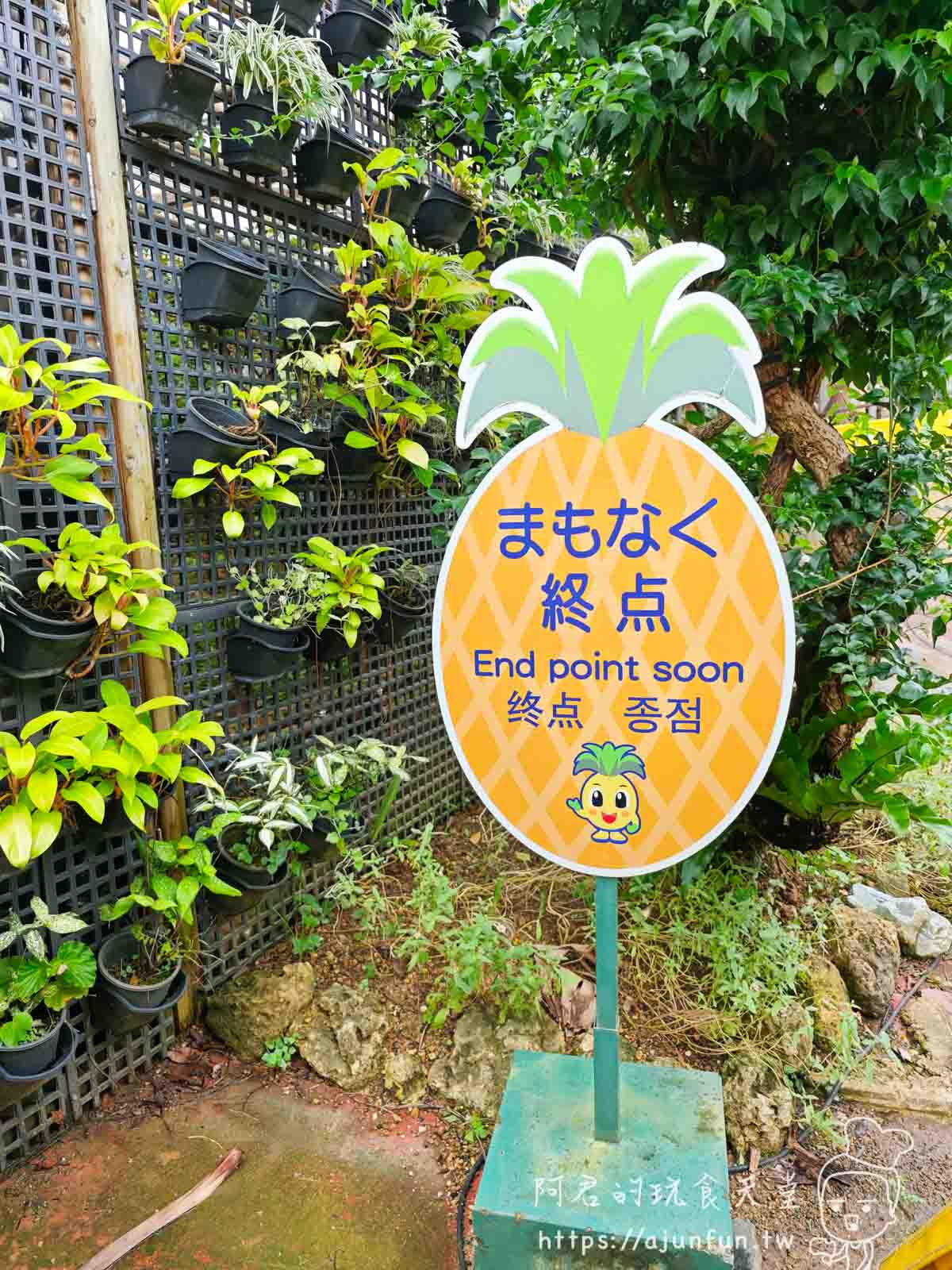 【沖繩親子景點推薦】名護鳳梨園,搭鳳梨車、逛恐龍園,下雨也可以玩 - 第17張圖