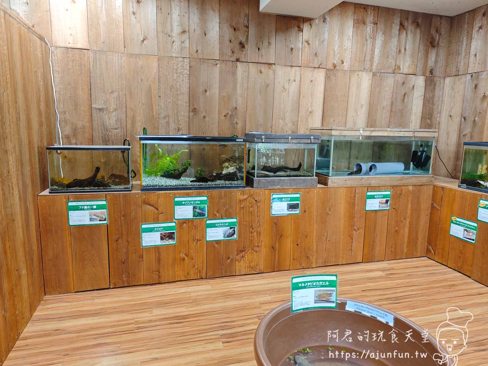 【沖繩親子景點】東南植物樂園:熱帶植物、動物互動、燈光秀 (門票/交通/評價) - 第33張圖