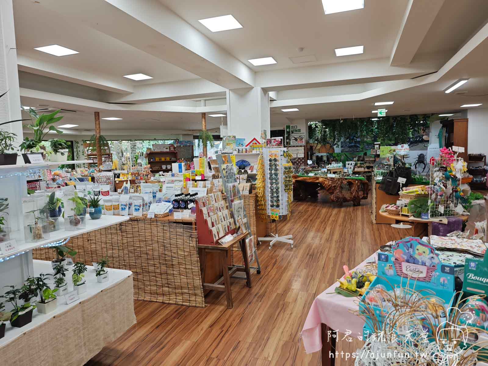 【沖繩親子景點】東南植物樂園:熱帶植物、動物互動、燈光秀 (門票/交通/評價) - 第51張圖