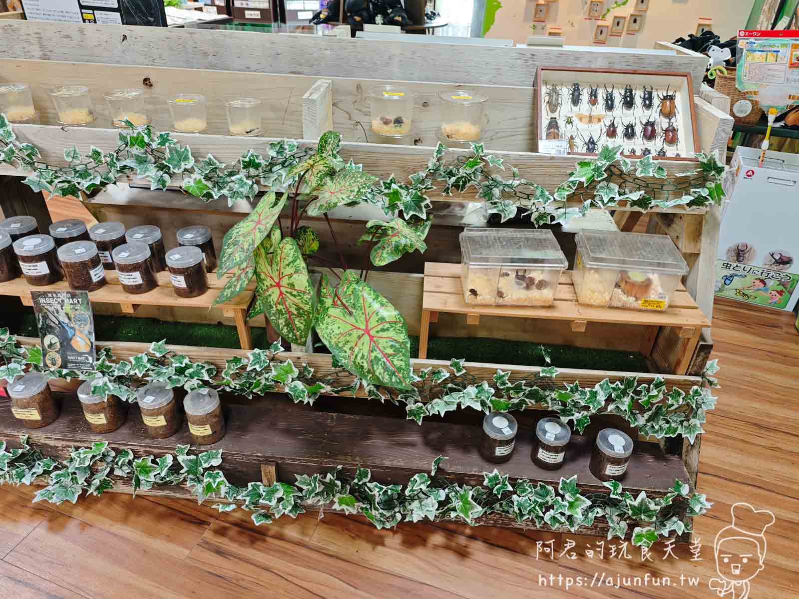 【沖繩親子景點】東南植物樂園:熱帶植物、動物互動、燈光秀 (門票/交通/評價) - 第50張圖
