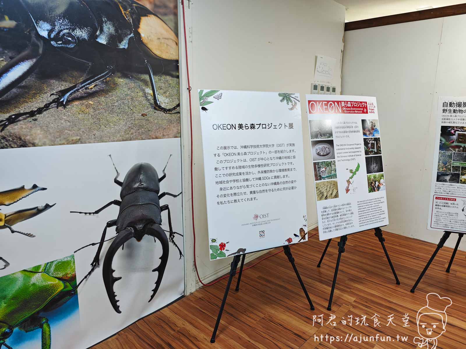 【沖繩親子景點】東南植物樂園:熱帶植物、動物互動、燈光秀 (門票/交通/評價) - 第36張圖