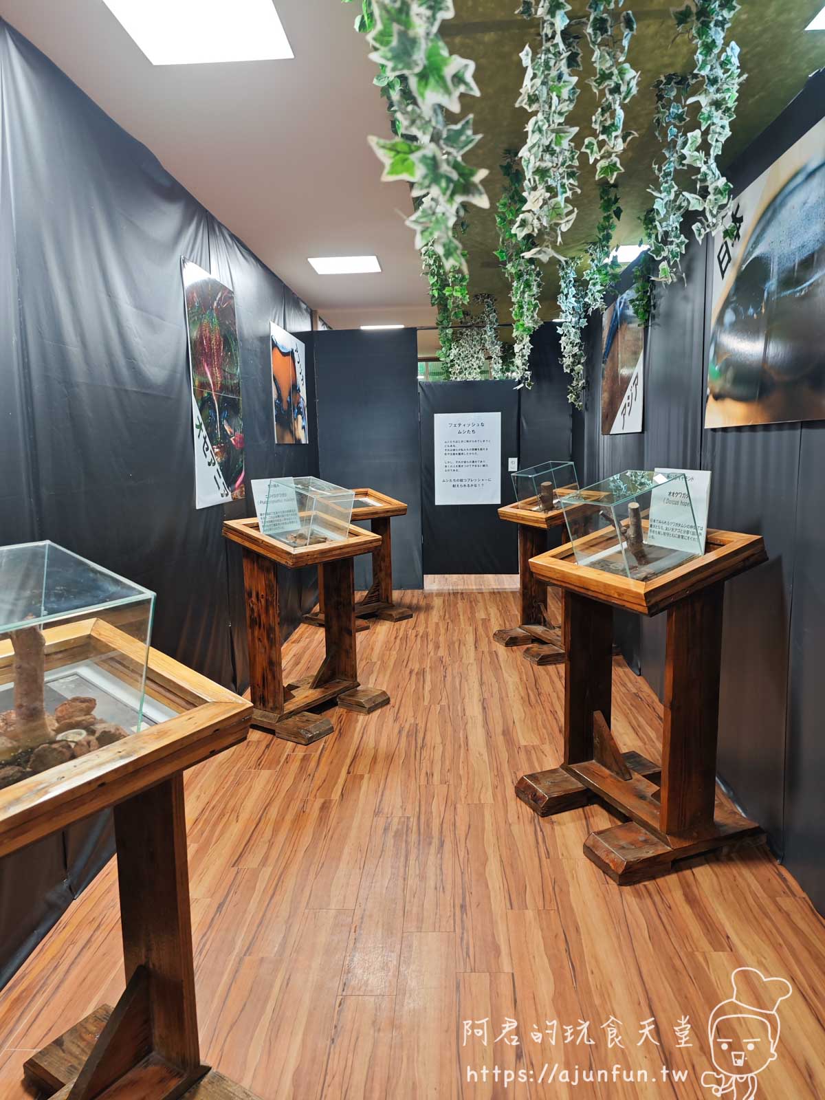 【沖繩親子景點】東南植物樂園:熱帶植物、動物互動、燈光秀 (門票/交通/評價) - 第38張圖