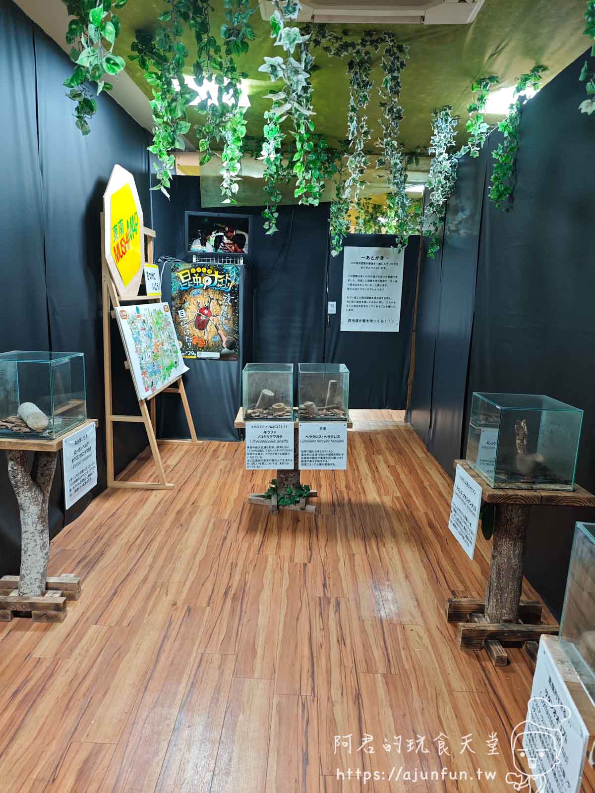 【沖繩親子景點】東南植物樂園:熱帶植物、動物互動、燈光秀 (門票/交通/評價) - 第57張圖
