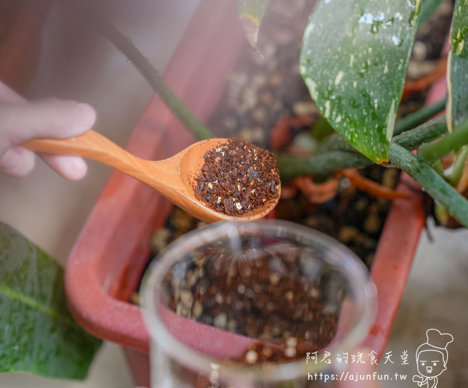 POLAR 除餘淨廚餘機開箱心得,粉碎、烘乾、除臭一機搞定,相見恨晚的廚房神器! - 第35張圖