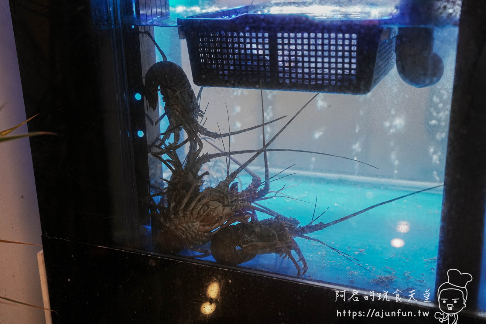 台中公益路火鍋「海港匠鍋」,不只是涮涮鍋,更把職人級日本料理搬進店裡 - 第17張圖