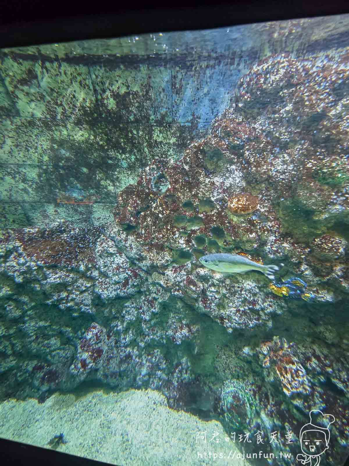 名古屋樂高樂園懶人包,門票優惠怎麼買?交通路線?8大園區必玩推薦 - 第32張圖 名古屋樂高樂園懶人包,門票優惠怎麼買?交通路線?8大園區必玩推薦