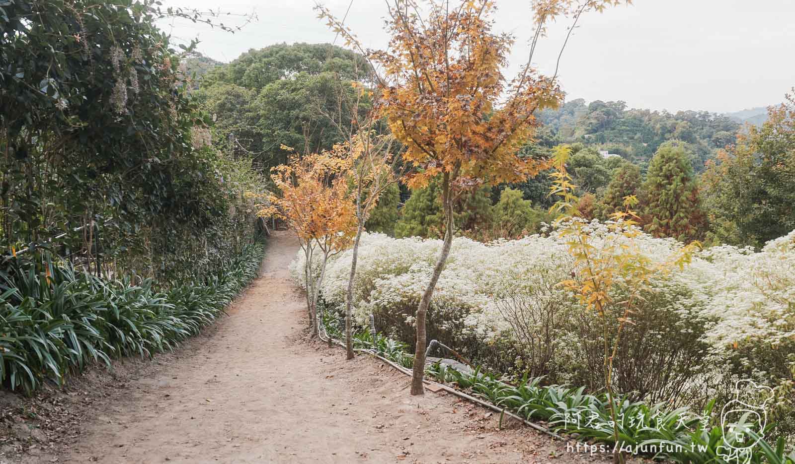 【台中新社】普羅旺斯庭園餐廳，不會暈車的秘境！推薦綠胡椒烤雞與超萌小兔奶凍