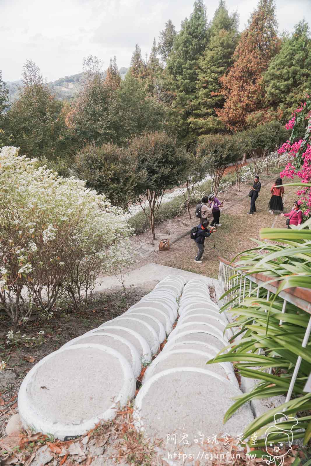 【台中新社】普羅旺斯庭園餐廳，不會暈車的秘境！推薦綠胡椒烤雞與超萌小兔奶凍