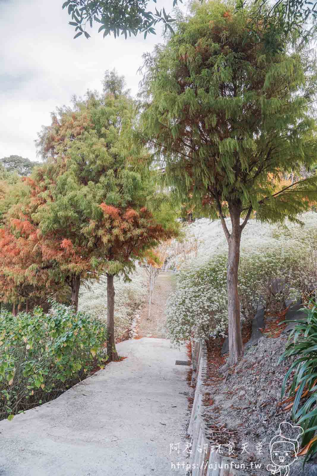 【台中新社】普羅旺斯庭園餐廳，不會暈車的秘境！推薦綠胡椒烤雞與超萌小兔奶凍