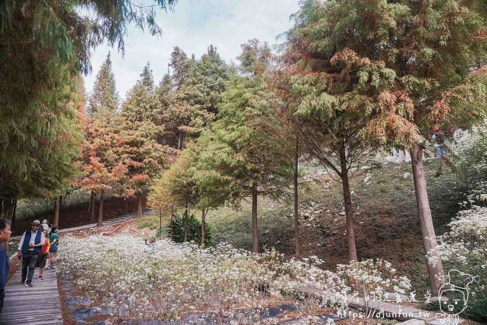 【台中新社】普羅旺斯庭園餐廳，不會暈車的秘境！推薦綠胡椒烤雞與超萌小兔奶凍
