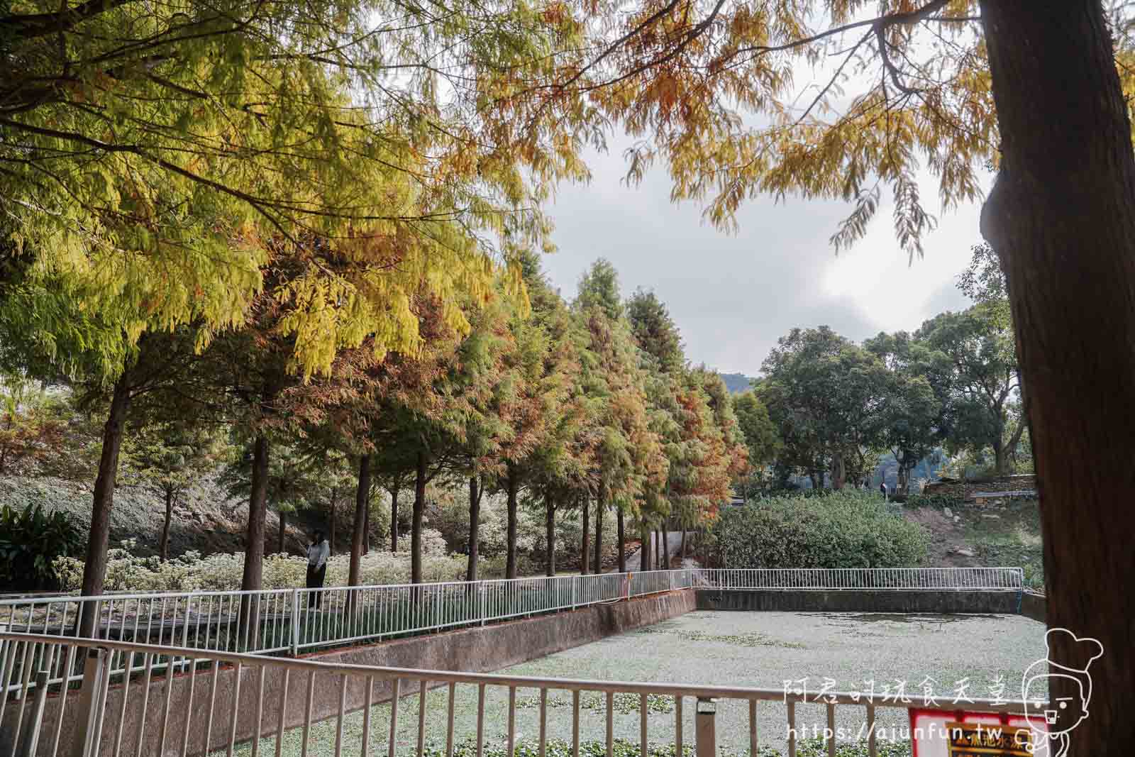 【台中新社】普羅旺斯庭園餐廳，不會暈車的秘境！推薦綠胡椒烤雞與超萌小兔奶凍