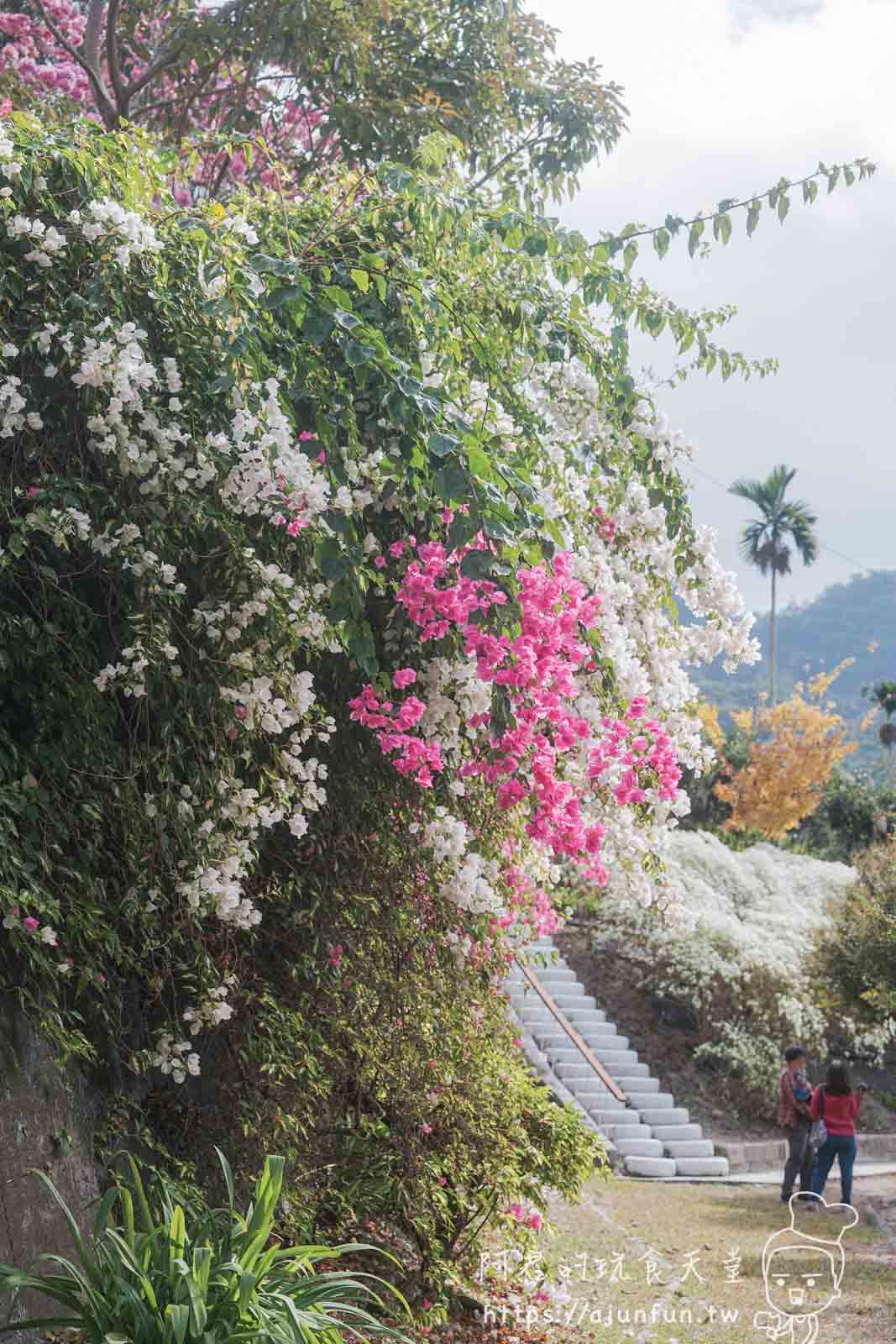 【台中新社】普羅旺斯庭園餐廳，不會暈車的秘境！推薦綠胡椒烤雞與超萌小兔奶凍