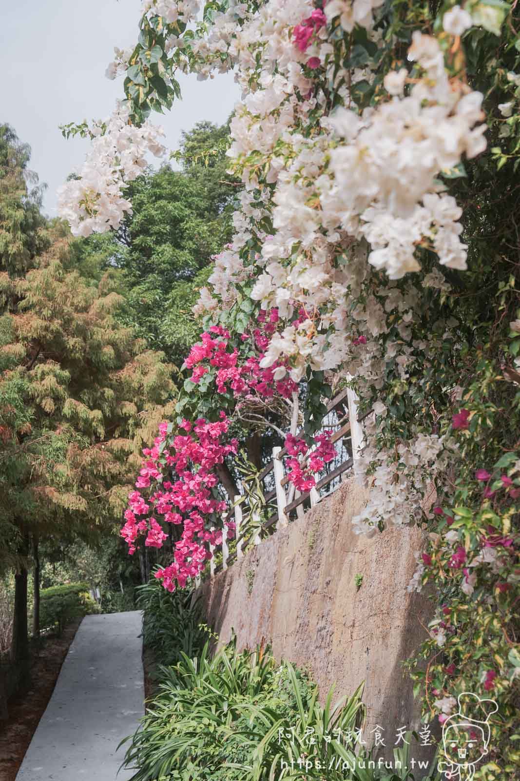 【台中新社】普羅旺斯庭園餐廳，不會暈車的秘境！推薦綠胡椒烤雞與超萌小兔奶凍