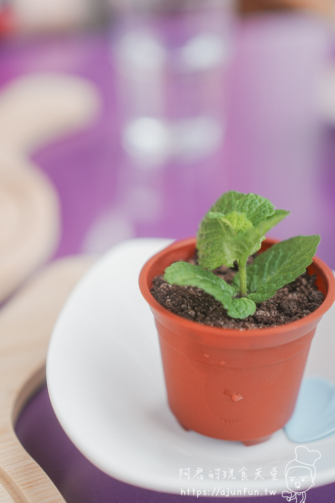 【台中新社】普羅旺斯庭園餐廳，不會暈車的秘境！推薦綠胡椒烤雞與超萌小兔奶凍