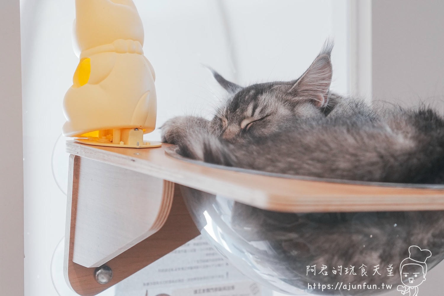 台中貓咖推薦｜94 貓咪咖啡廳，被五星級貓旅館耽誤的甜點店？