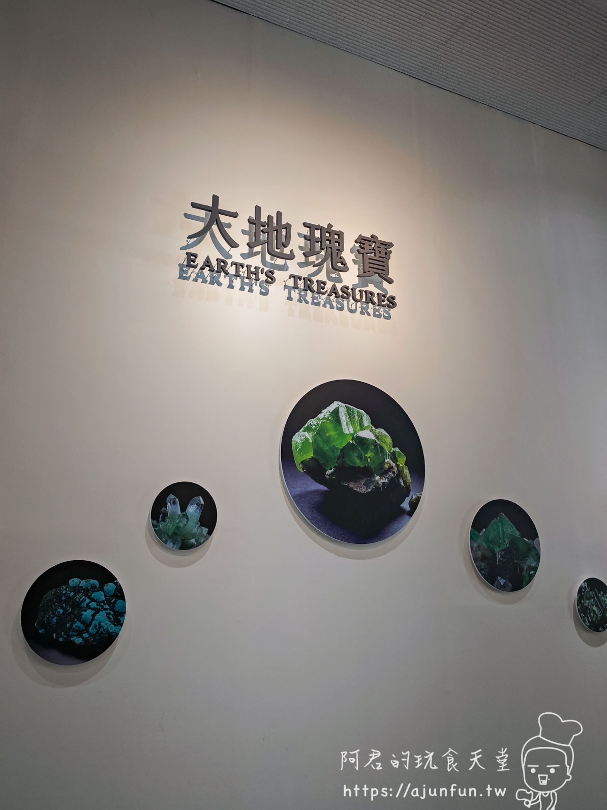 科博館恐龍卡全攻略：年費 360 元去三次就回本！隱藏版停車優惠與辦理教學