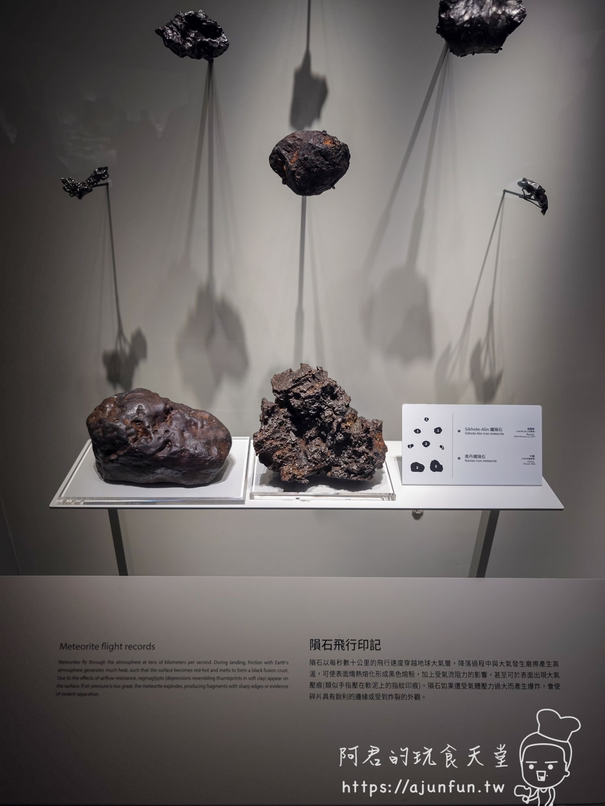 科博館恐龍卡全攻略：年費 360 元去三次就回本！隱藏版停車優惠與辦理教學