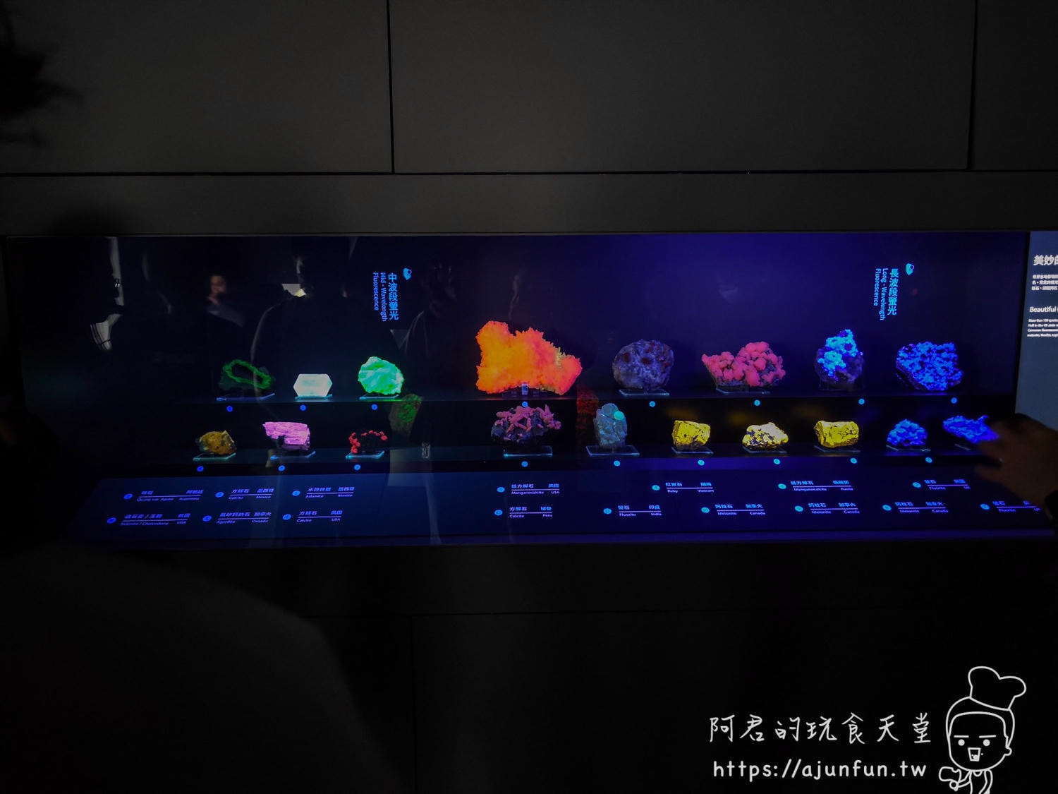 科博館恐龍卡全攻略：年費 360 元去三次就回本！隱藏版停車優惠與辦理教學