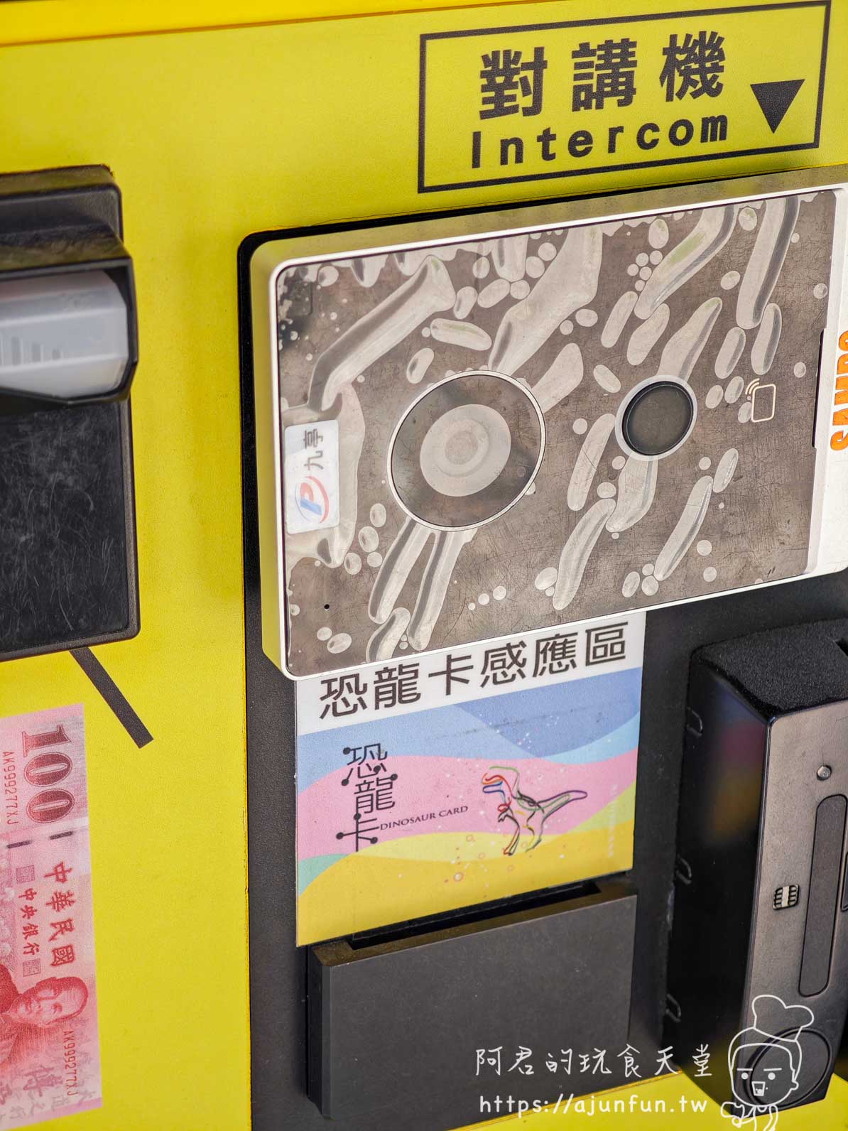 科博館恐龍卡全攻略：年費 360 元去三次就回本！隱藏版停車優惠與辦理教學