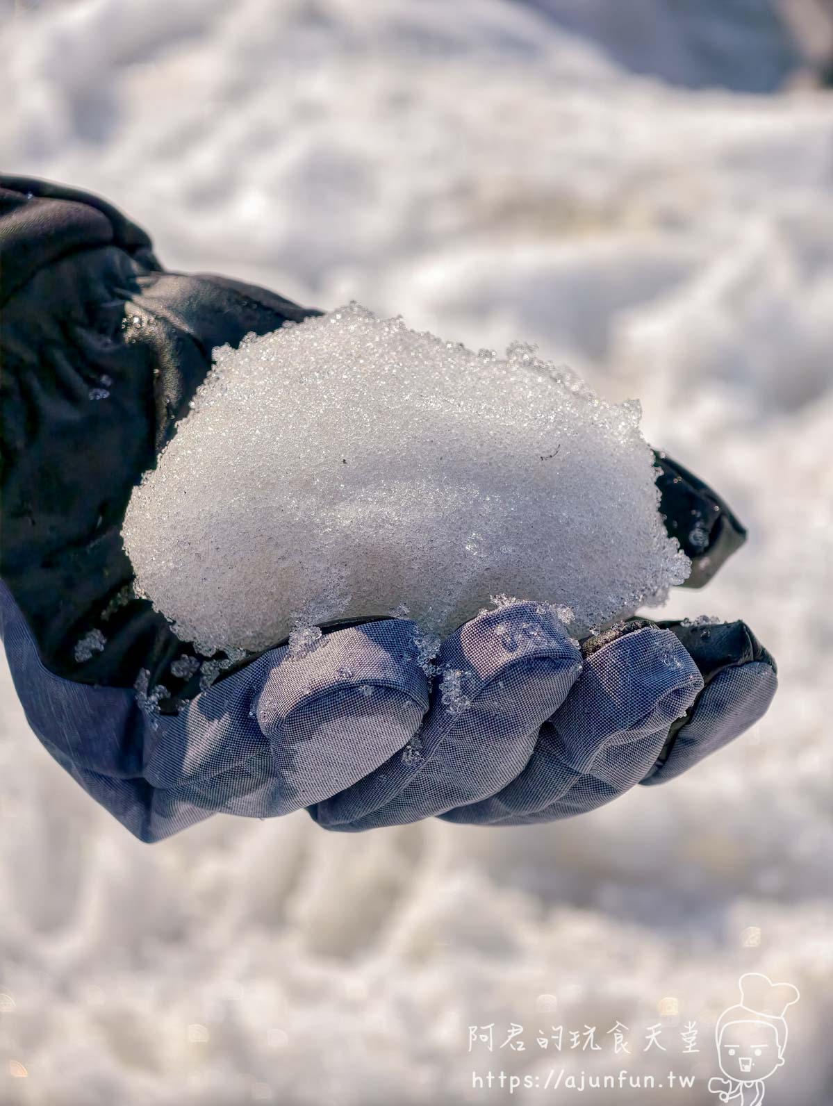 【日本滑雪全包】新潟滑雪自由行救星，美黛子妙高新井樂天 5 日遊評價
