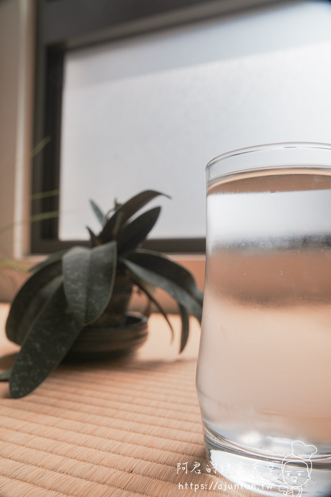 OASIS 冰河機開箱｜IF-301A 免安裝 RO 飲水機，14段溫控＋壓縮機真冰水