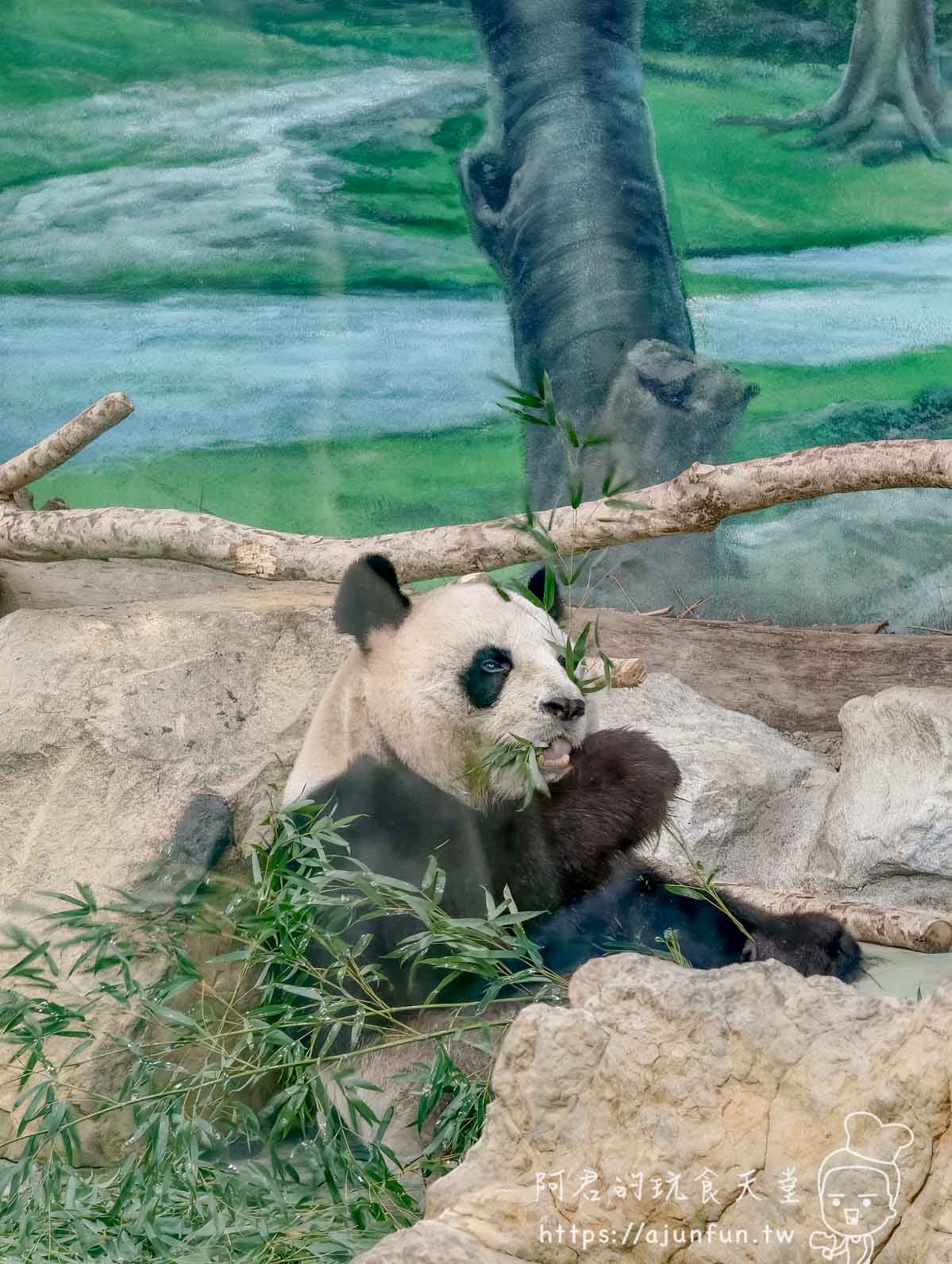 台北木柵動物園攻略 2026｜4 大必去館、3 個避雷提醒一次看