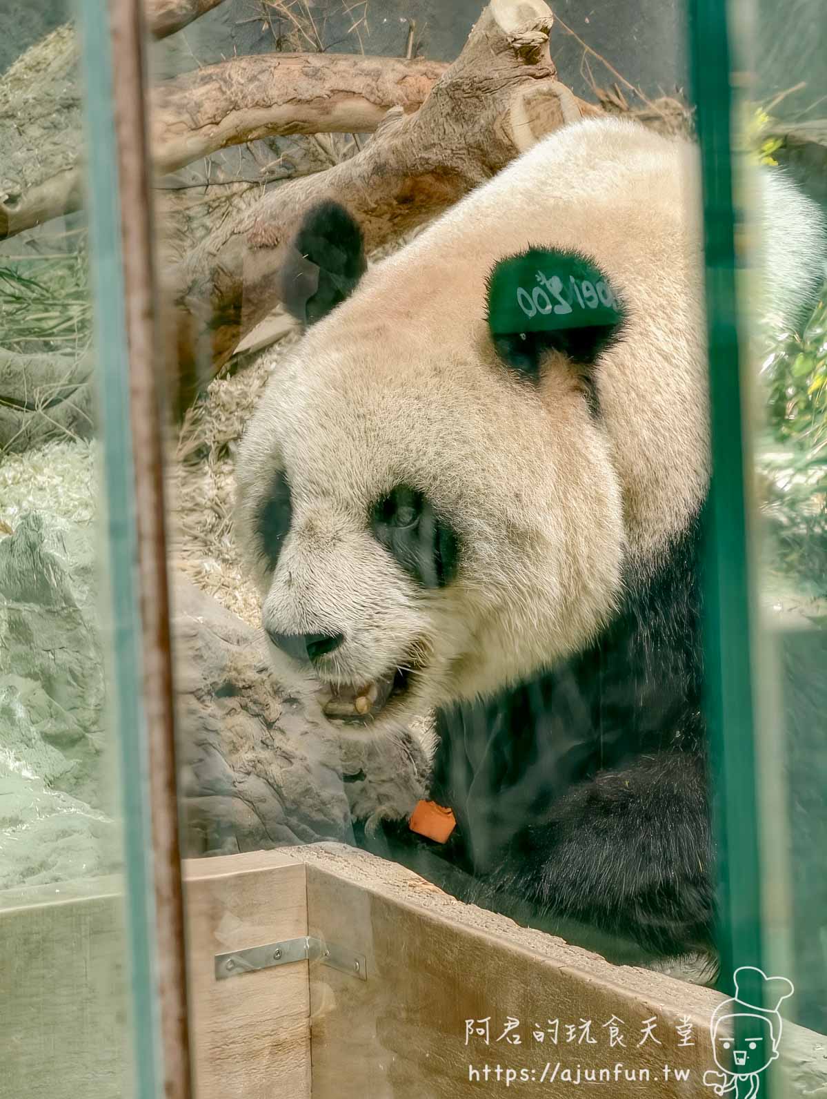 台北木柵動物園攻略 2026｜4 大必去館、3 個避雷提醒一次看
