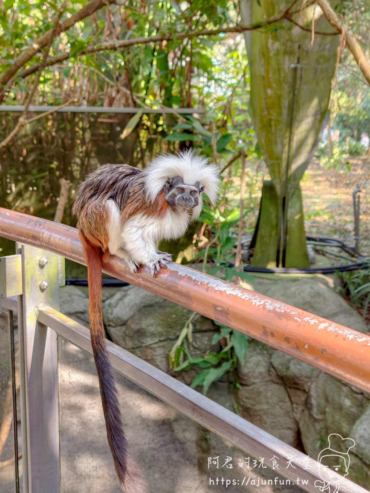 台北木柵動物園攻略 2026｜4 大必去館、3 個避雷提醒一次看