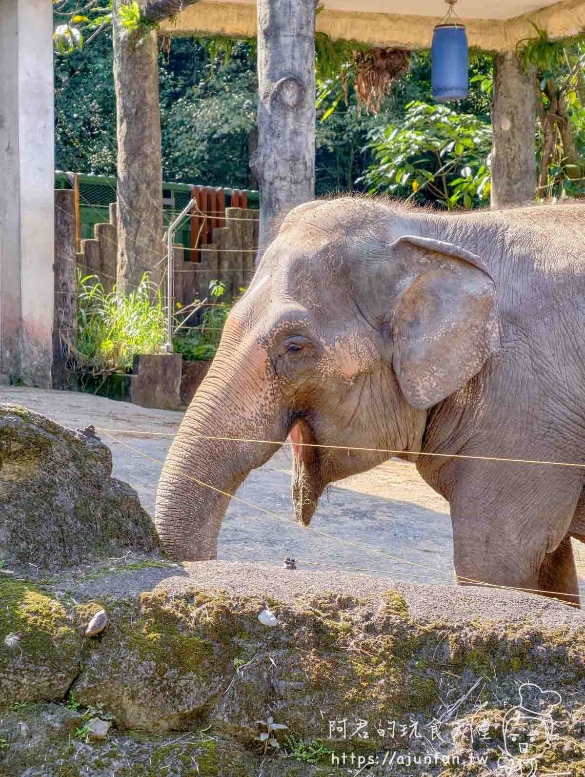 台北木柵動物園攻略 2026｜4 大必去館、3 個避雷提醒一次看