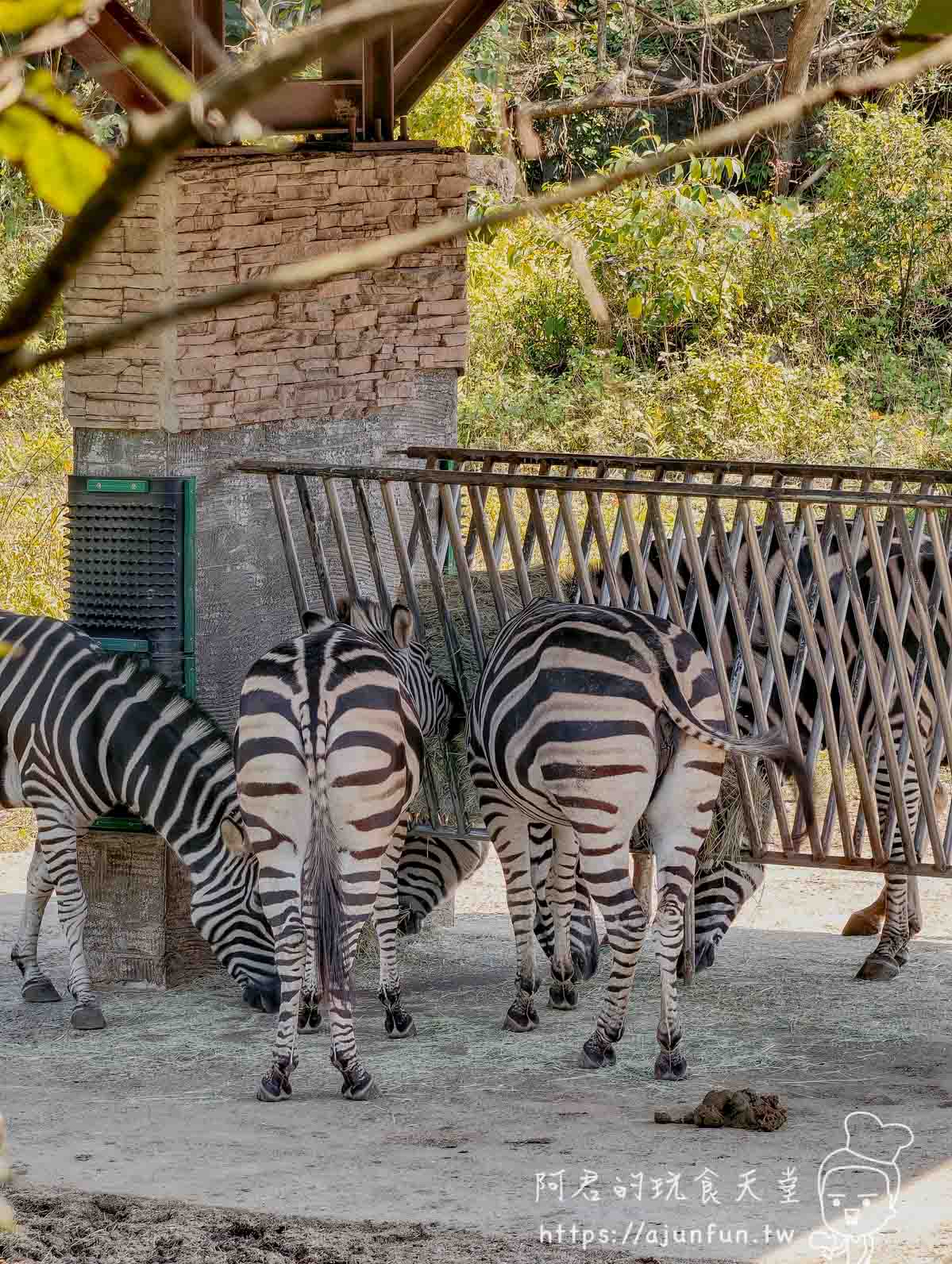 台北木柵動物園攻略 2026｜4 大必去館、3 個避雷提醒一次看