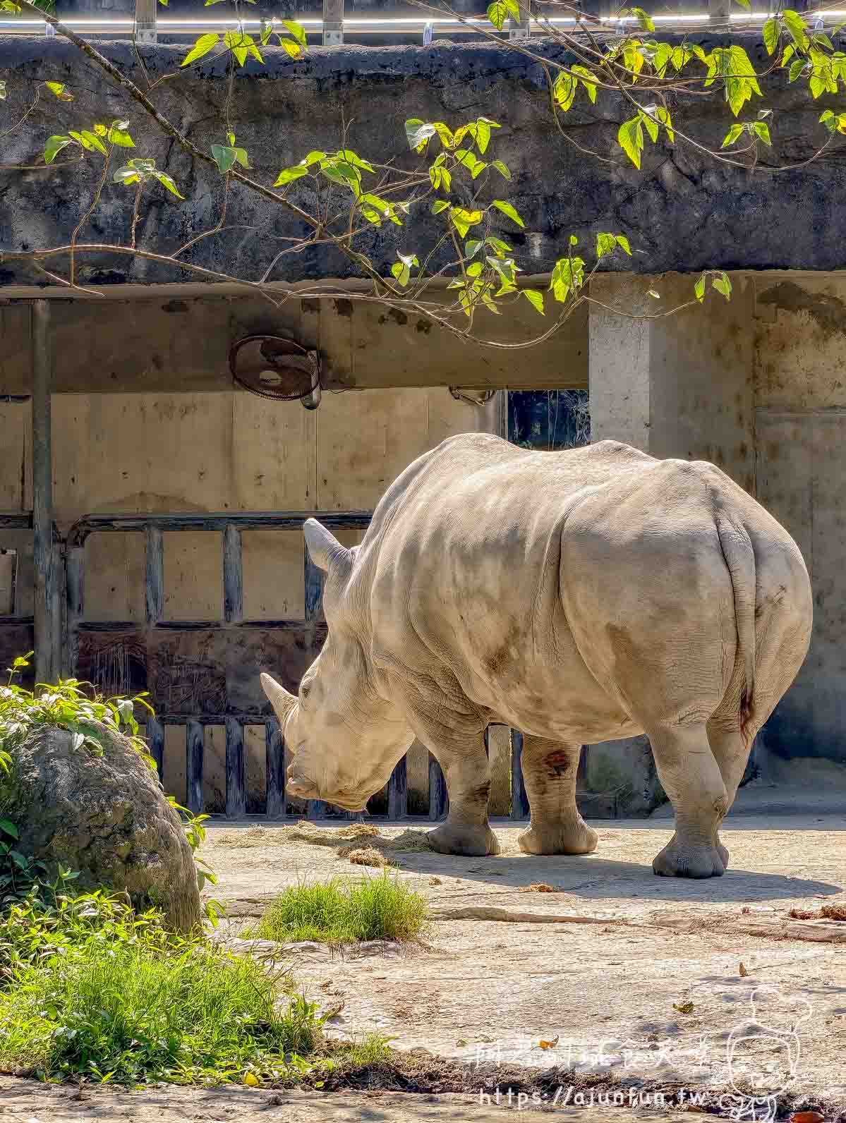 台北木柵動物園攻略 2026｜4 大必去館、3 個避雷提醒一次看