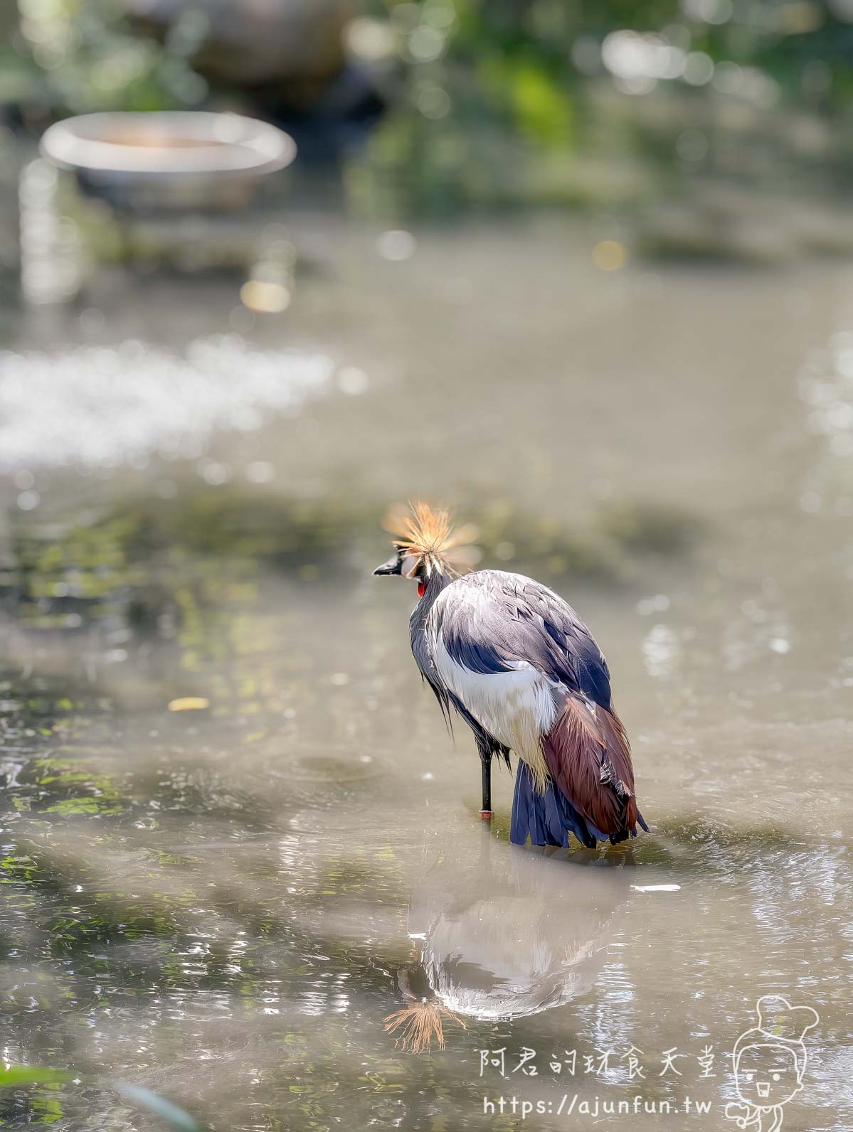 台北木柵動物園攻略 2026｜4 大必去館、3 個避雷提醒一次看