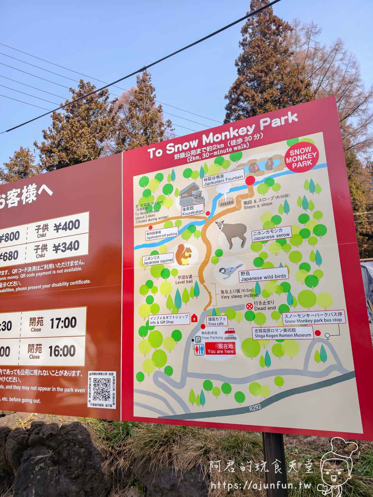 長野地獄谷野猿公苑攻略｜¥800 看猴子打架泡湯，40 分鐘山路值不值得走？