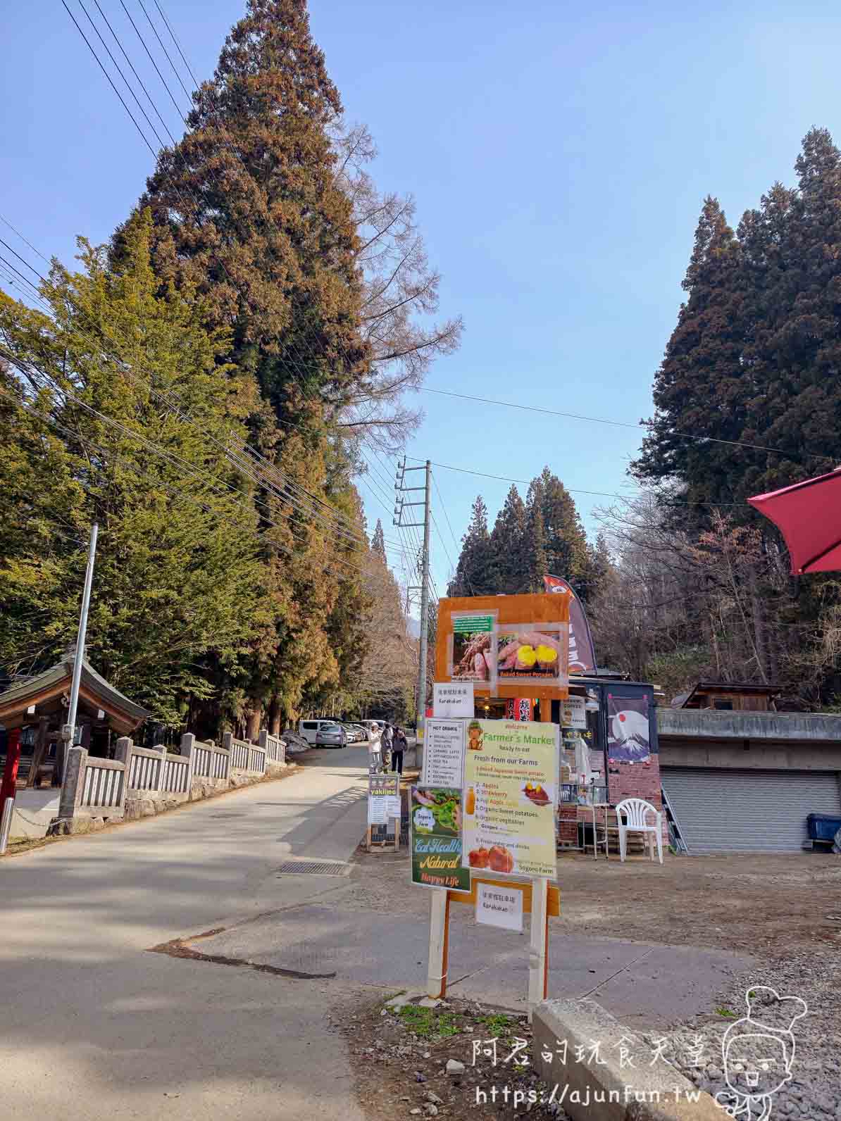 長野地獄谷野猿公苑攻略｜¥800 看猴子打架泡湯，40 分鐘山路值不值得走？