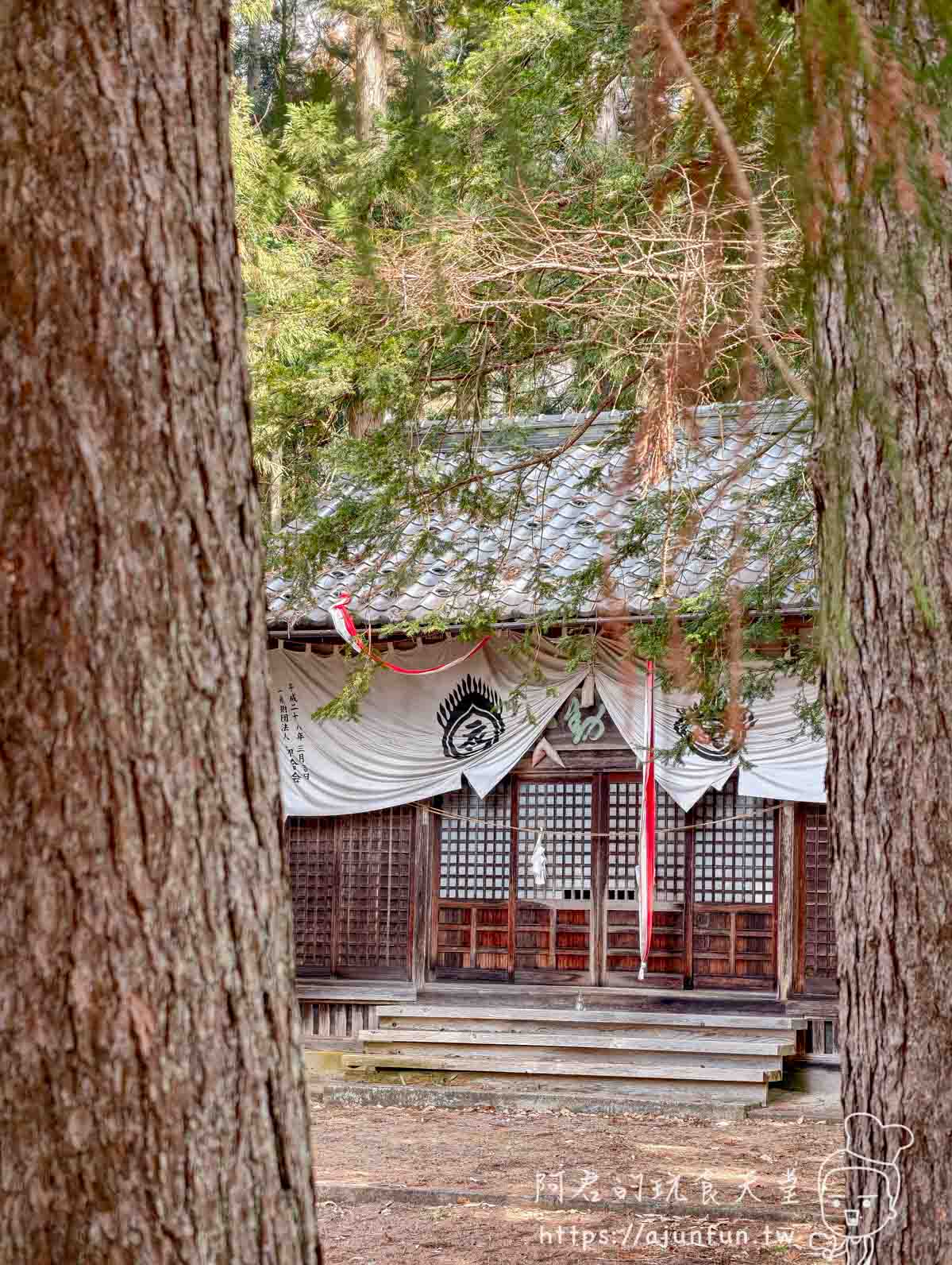 長野地獄谷野猿公苑攻略｜¥800 看猴子打架泡湯，40 分鐘山路值不值得走？