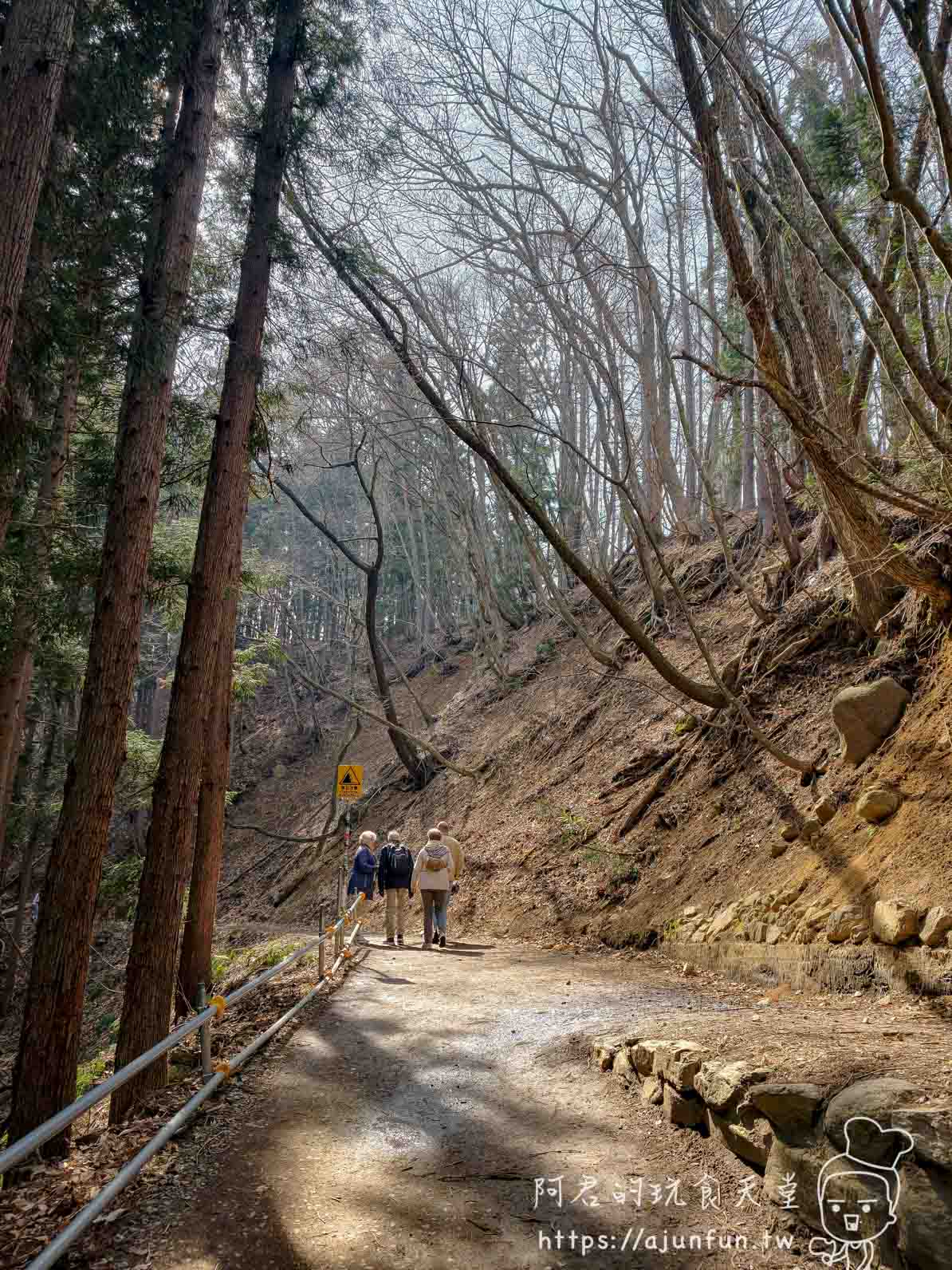 長野地獄谷野猿公苑攻略｜¥800 看猴子打架泡湯，40 分鐘山路值不值得走？