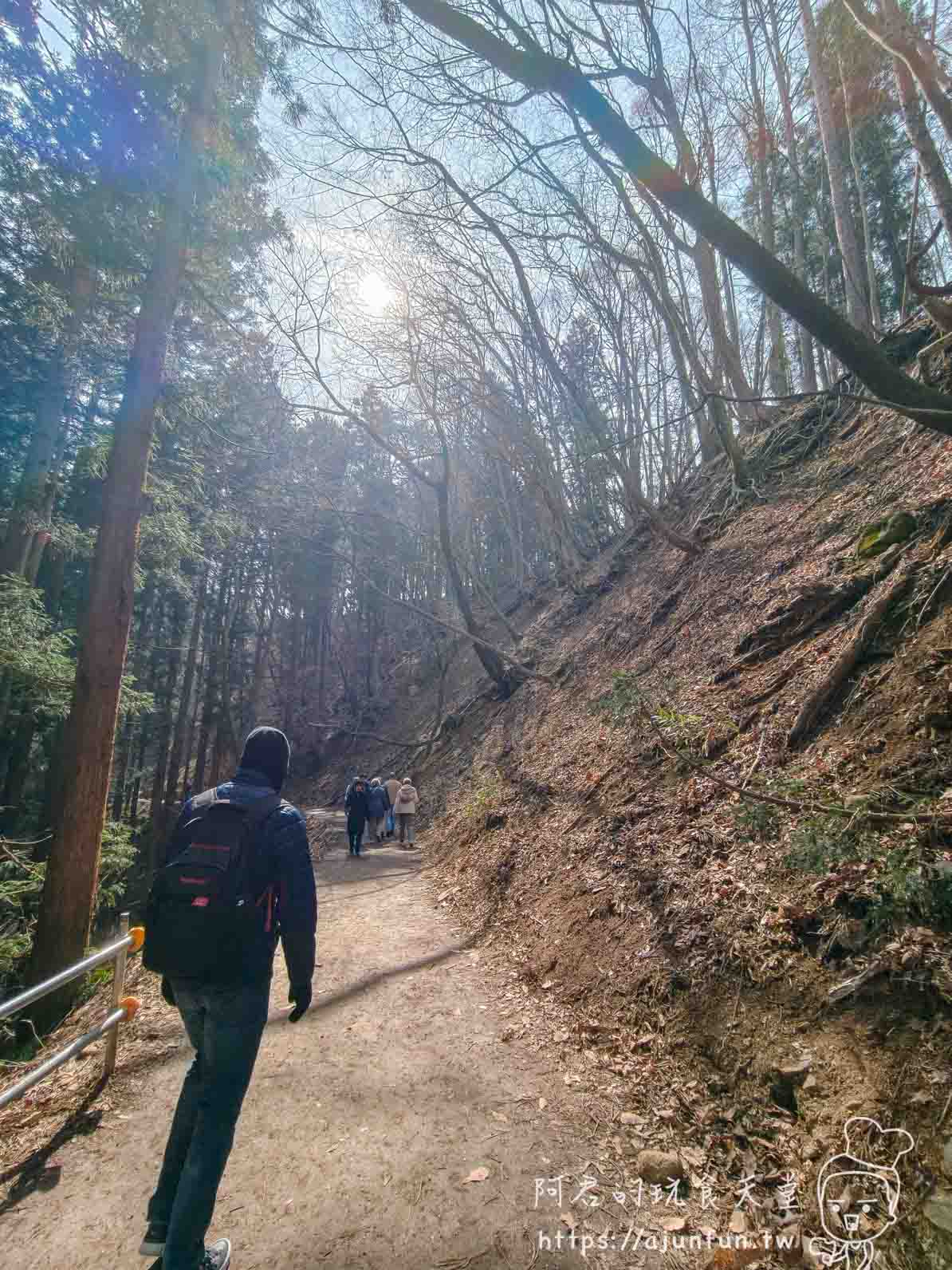 長野地獄谷野猿公苑攻略｜¥800 看猴子打架泡湯，40 分鐘山路值不值得走？
