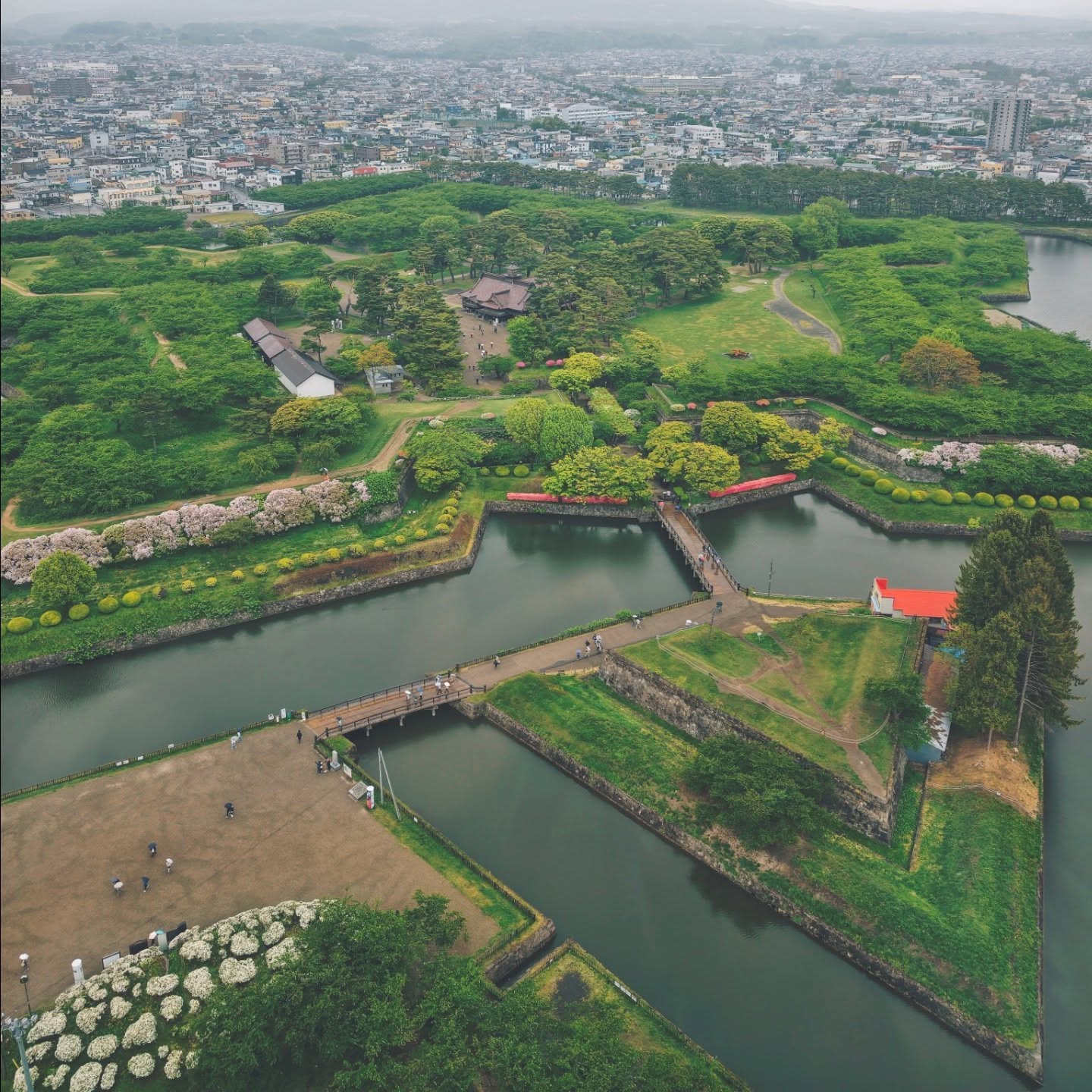 函館八天七夜|春末出發,一場名為「待不夠」的旅行 - 第55張圖 函館八天七夜|春末出發,一場名為「待不夠」的旅行