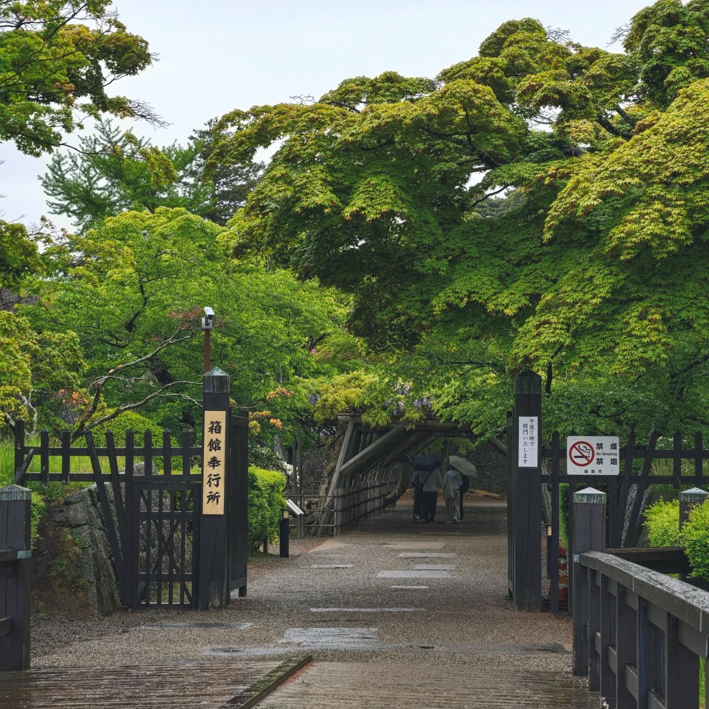 函館八天七夜|春末出發,一場名為「待不夠」的旅行 - 第56張圖 函館八天七夜|春末出發,一場名為「待不夠」的旅行