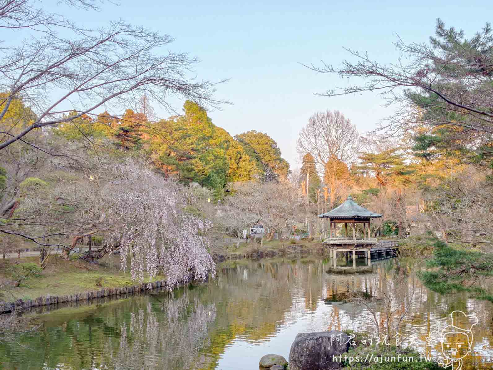 成田山新勝寺奧之院庭園池塘與枝垂櫻夕照