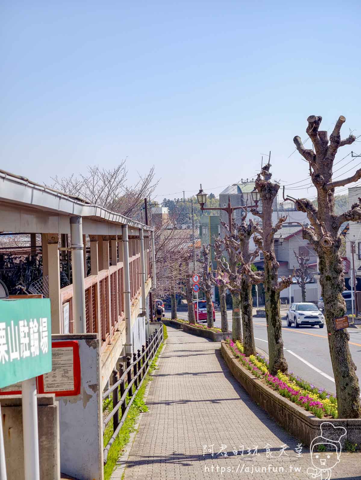 成田表參道清晨櫻花斜坡街景與日式建築連排店家