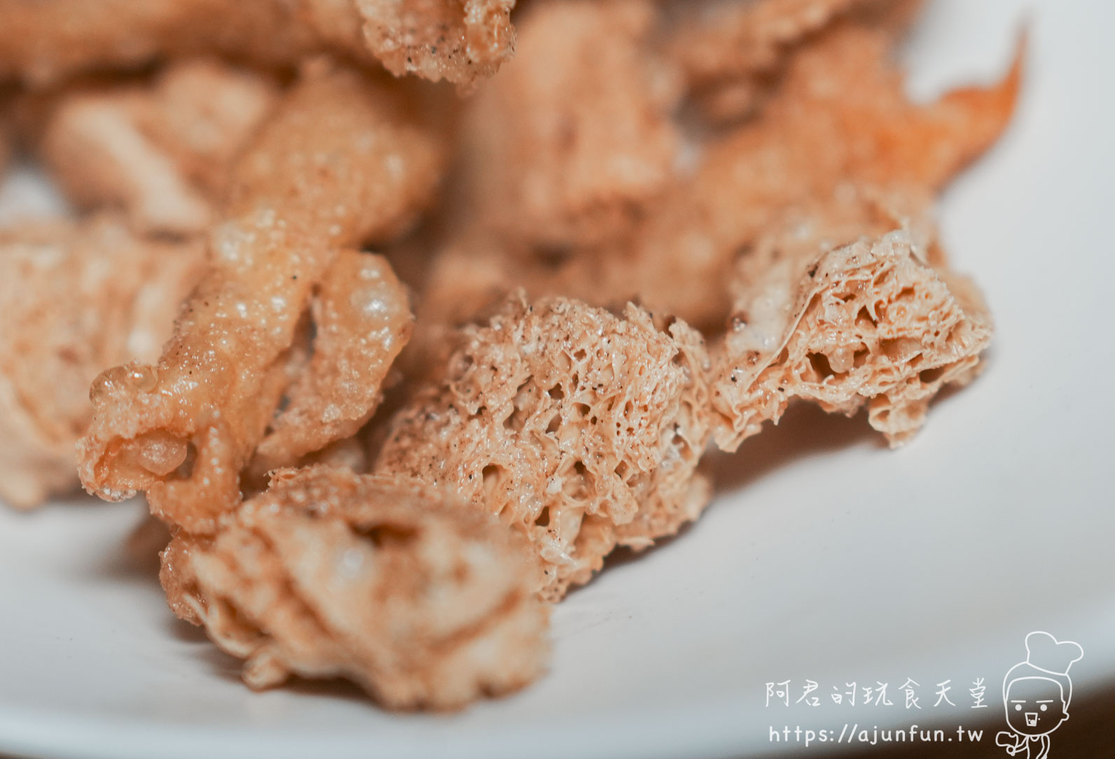 大頭雞薑片茶油雞-南投店 炸物蜂巢酥脆截面特寫 - 阿君的玩食天堂
