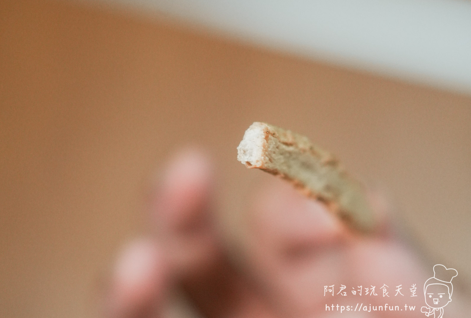大頭雞薑片茶油雞 薑片特寫斷面纖維質感 - 阿君的玩食天堂