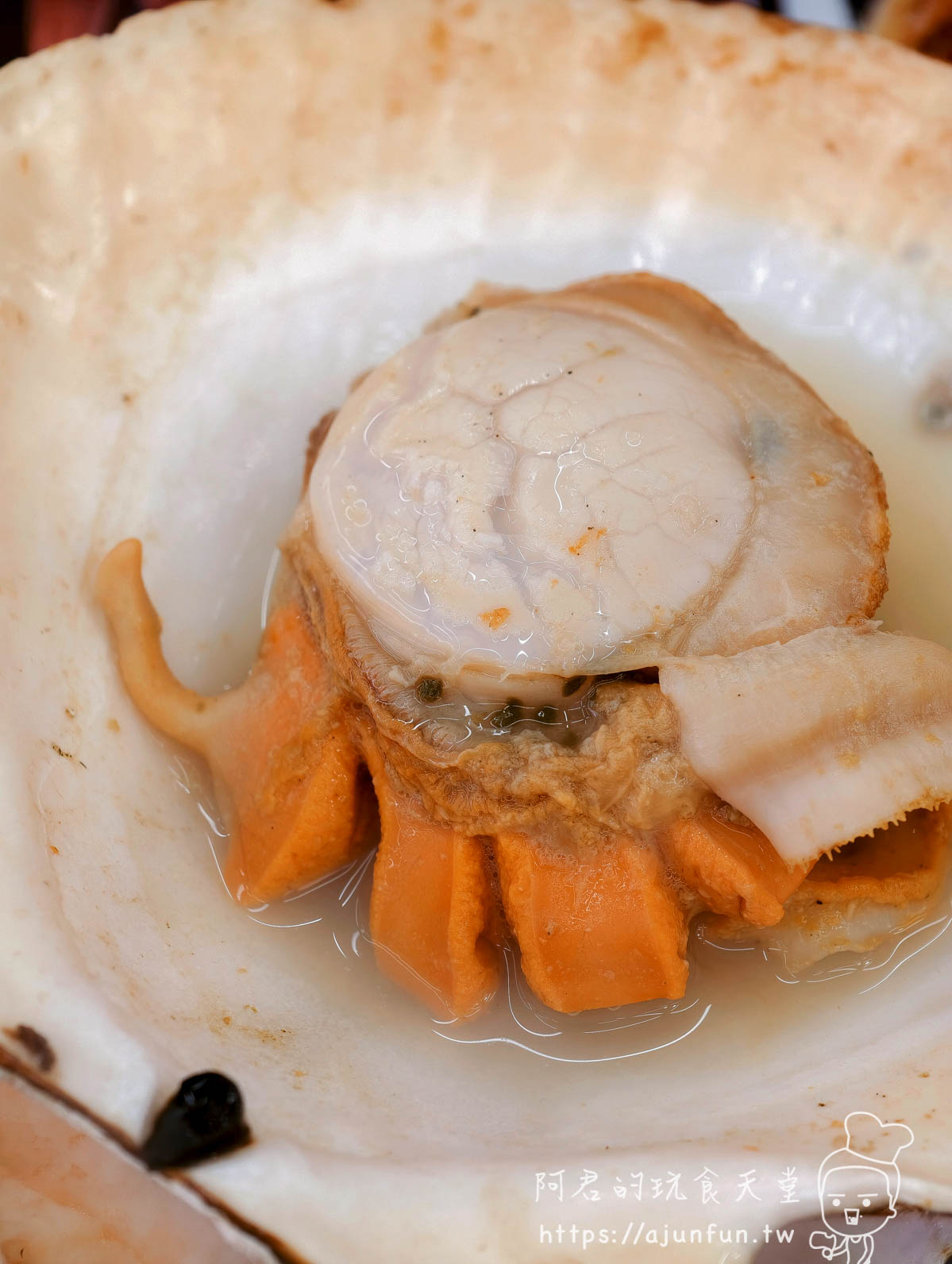 稲場魚介苑 北海道烤扇貝連殼上桌 白色厚貝柱橙色卵手掌比例參照 - 阿君的玩食天堂