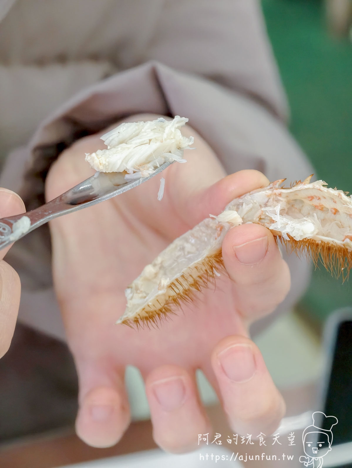 稲場魚介苑 北海道毛蟹蟹腳內白色細絲蟹肉 纖維短細平行排列充塞腔體 - 阿君的玩食天堂